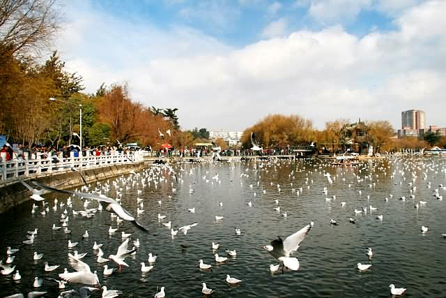 Kunming Green Lake