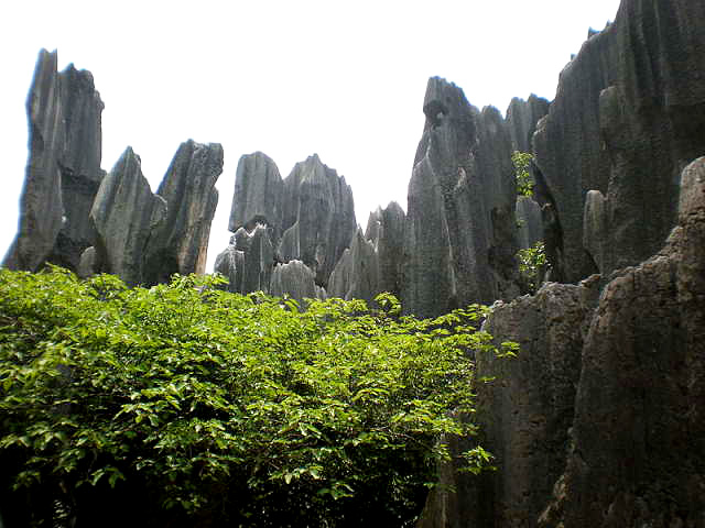  yunnan stone forest