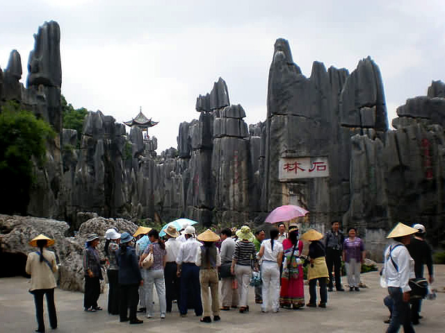 Stone Forest