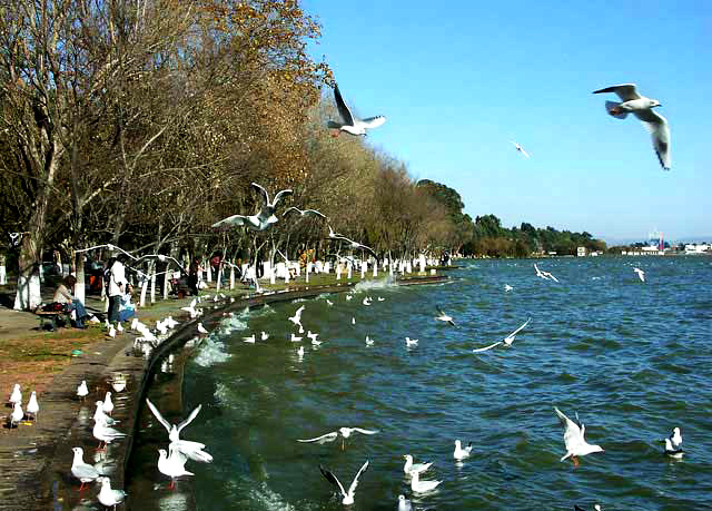 yunnan capital - kunming