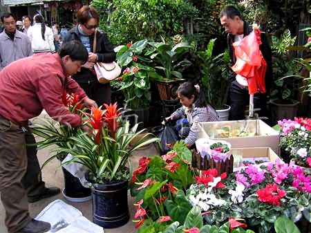 Flowers and Birds Market