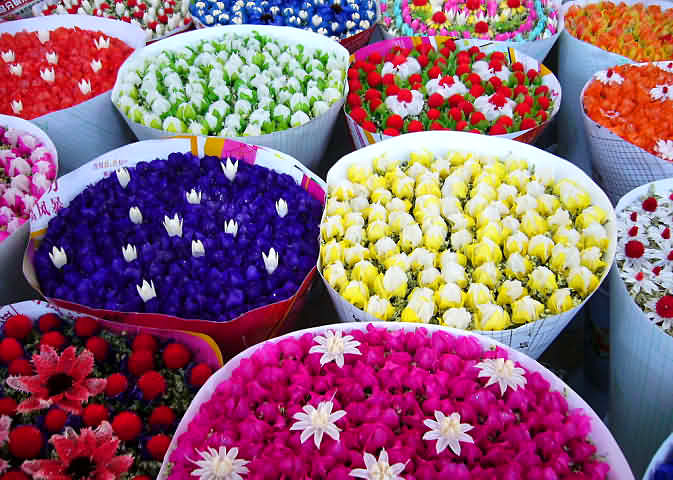 flowers and birds market