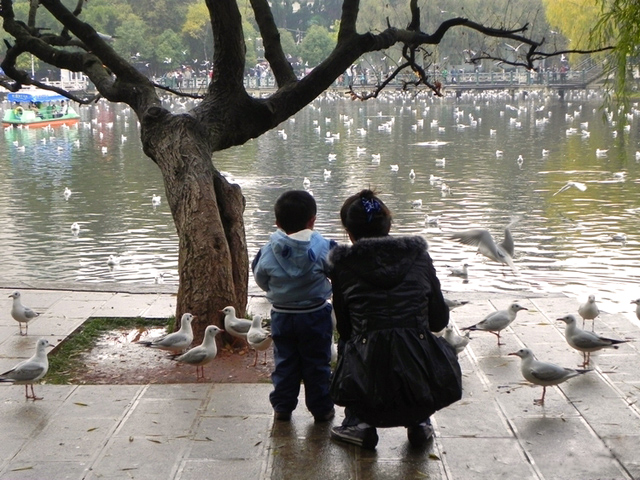  green lake park