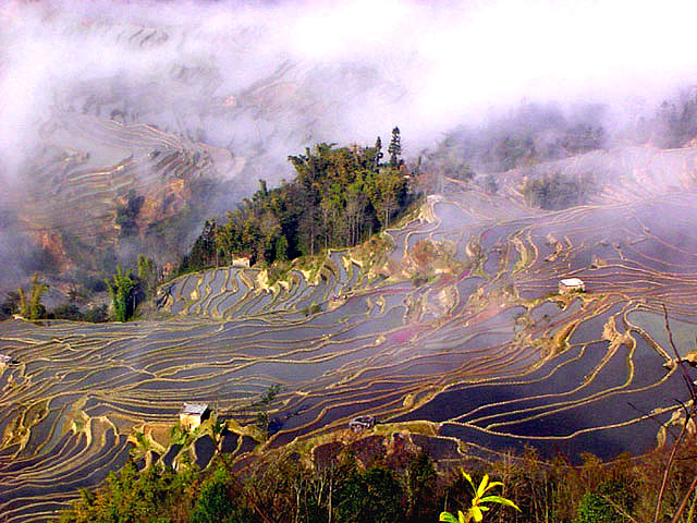 Yuanyang Terrace