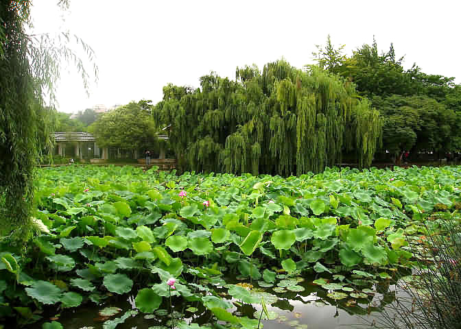 Green Lake Park