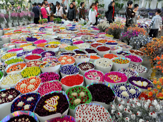 flower and birds market