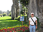 Stone Forest