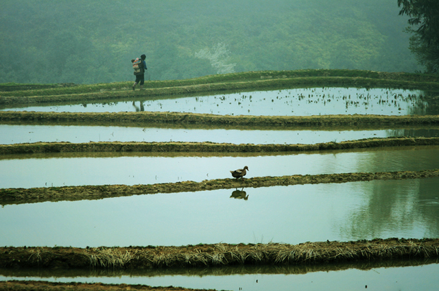 Yuanyang Terrace