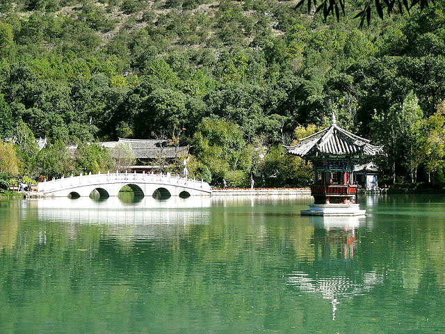  black dragon pool