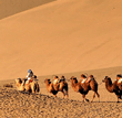 Adventure China Tours
