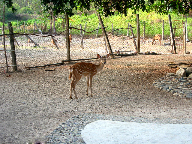 Luhuitou (Deer-Turn-Round) Park