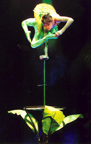 Portman Acrobatic Show, Shanghai