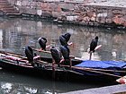 Traditional boats in Tongli Water Town