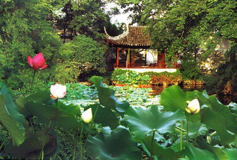 Humble Administrator's Garden Suzhou