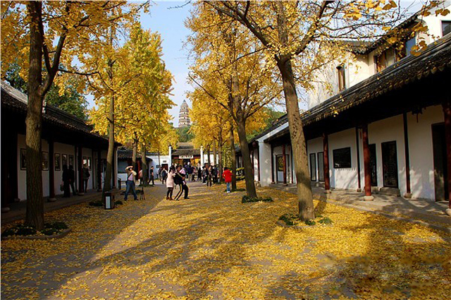 Tiger Hill Suzhou