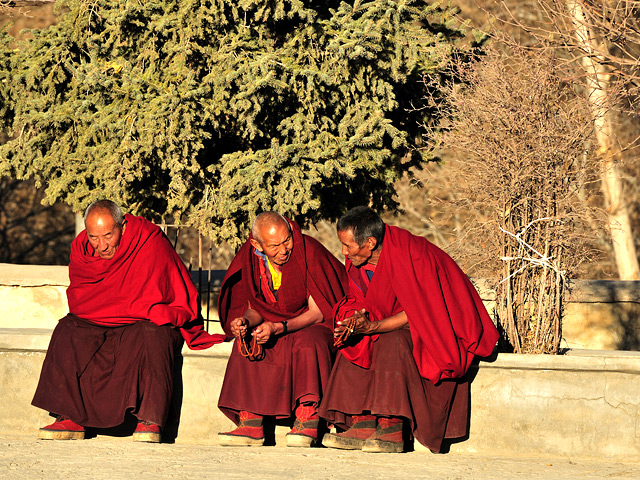 Lama Monks