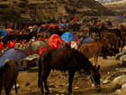 Tent Camp