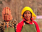 Tibetan nuns