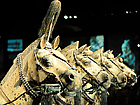 Terracotta Horses