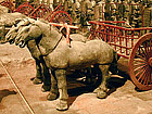 Terracotta Warriors