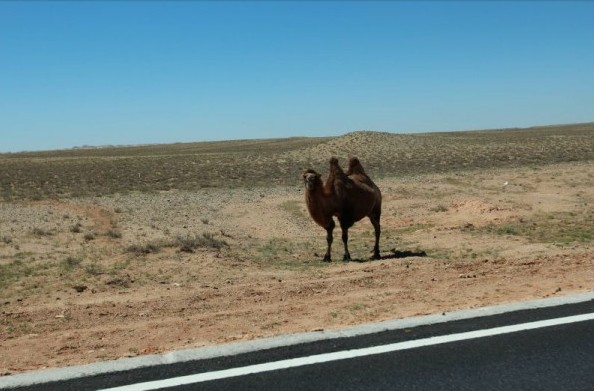 Xinjiang Desert Highway