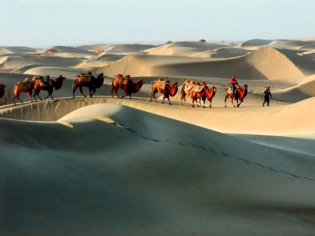 silk road caravans