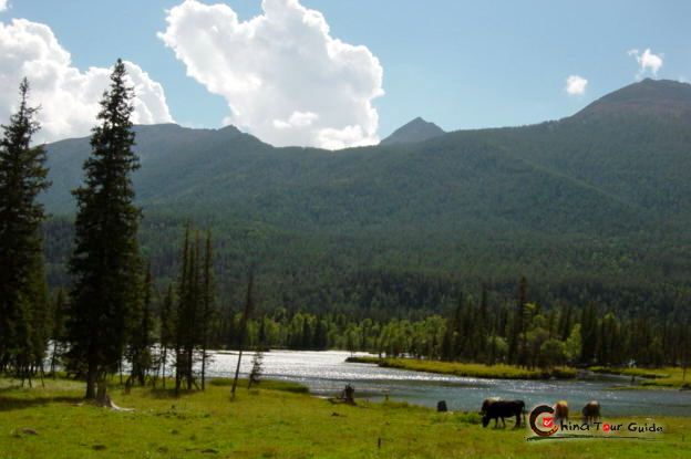 Southern Tianshan rangeland