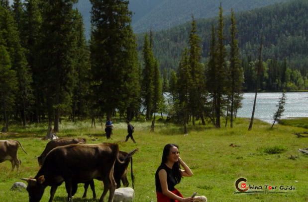 Southern Tianshan rangeland