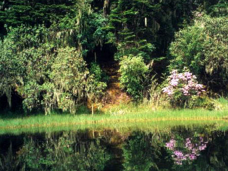 Bitahai Lake