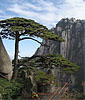 Huangshan Tour