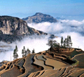 7 days Exotic South of Yunnan