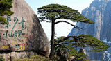 Huangshan